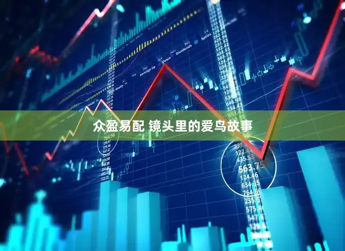 众盈易配 镜头里的爱鸟故事