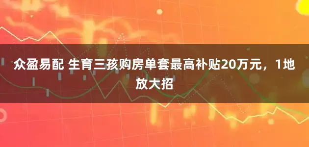 众盈易配 生育三孩购房单套最高补贴20万元，1地放大招